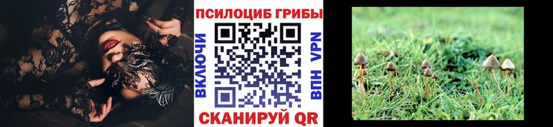 Галлюциногенные грибы MAGIC MUSHROOMS  Каневская 